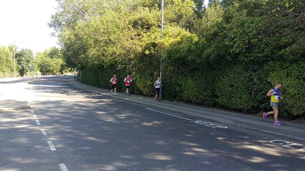 IMAG2409 Billingham Marsh House Harriers Flickr