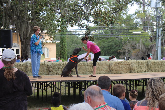 morven ga peach festival 2023 Flickr The Brooks County, Pool