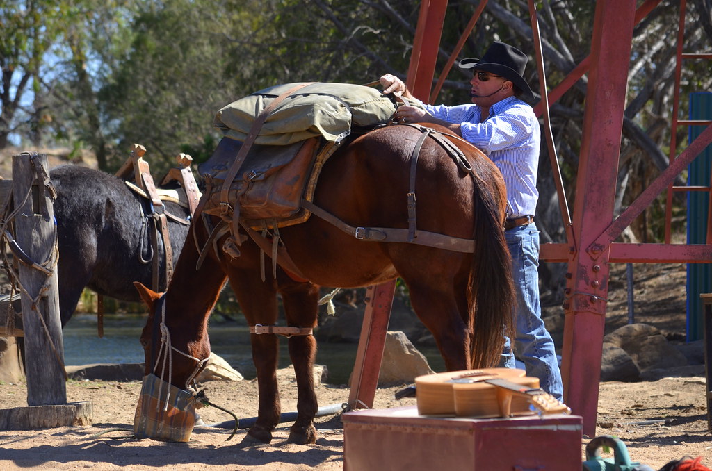 Pack Horse Daytime show at the Australian Stockman's Hall … Flickr