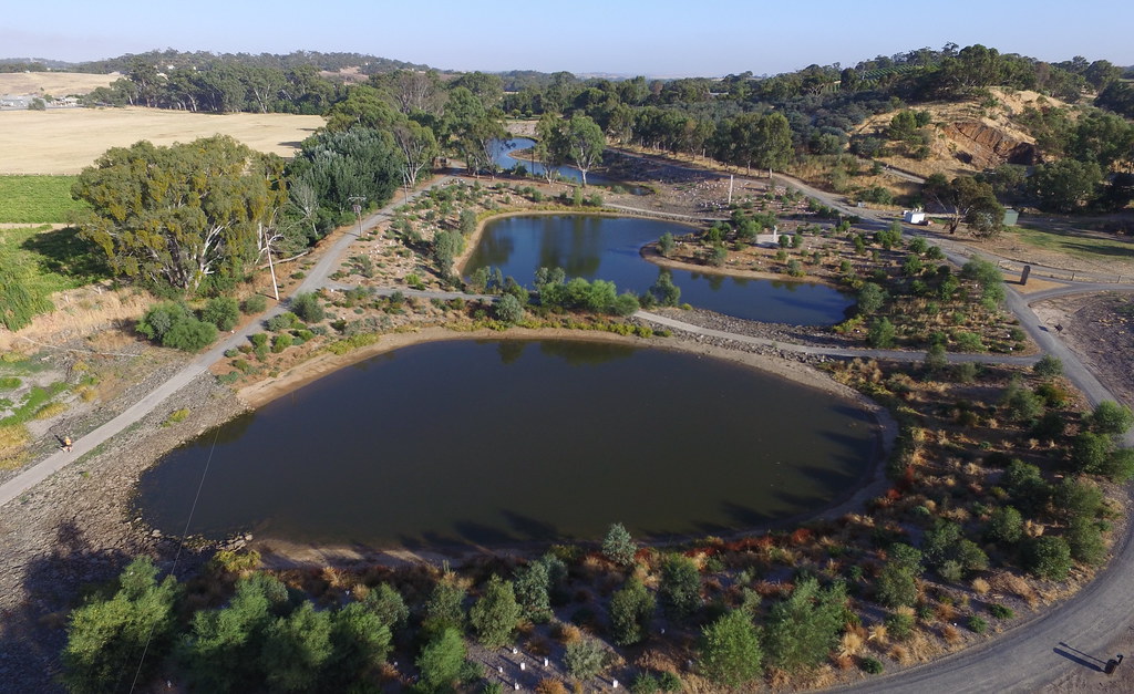 Gleeson Wetlands 20150103_23c Gleeson Wetlands, Clare, Sou… Flickr