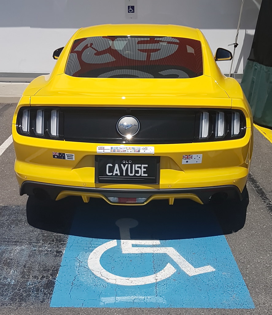 funny cars, october 2016 (20) bertknot Flickr