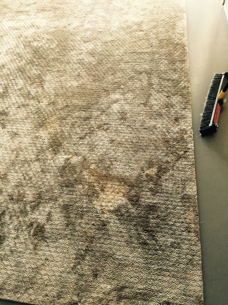 Marianne Zimmerman Carpet and Rug Cleaners Flickr