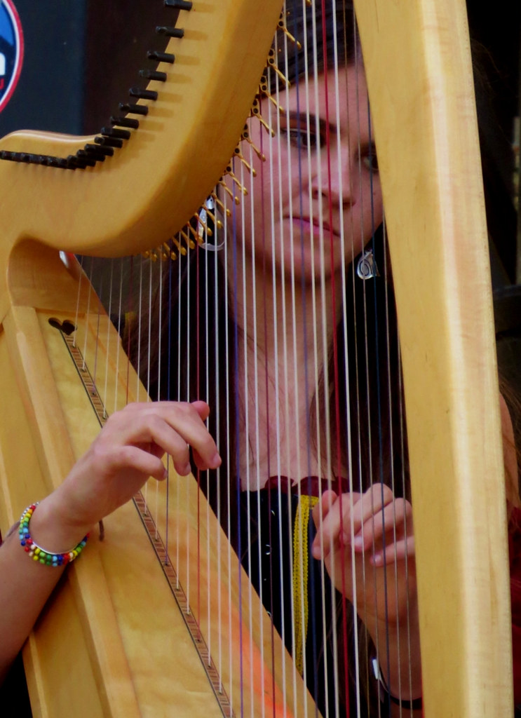 Harp Player, A Celtic Music Concert A lovely young lady wa… Flickr