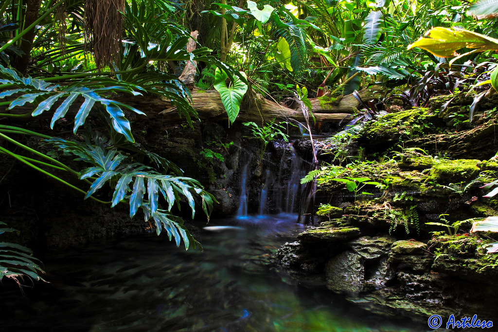 Pinecrest Garden, Miami ,Florida Nice place to relax. Oscar Artiles