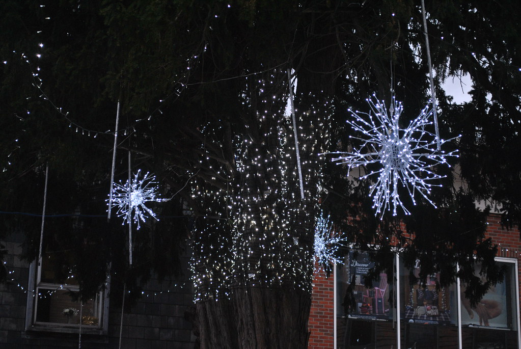 Lion Walk Colchester's Christmas lights 2015 Antony Whitehead Flickr