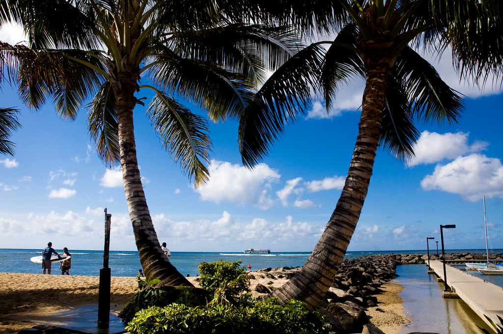 081107.095458200n Waikiki Honolulu, Oahu, Hawaii Suzanne Westerly