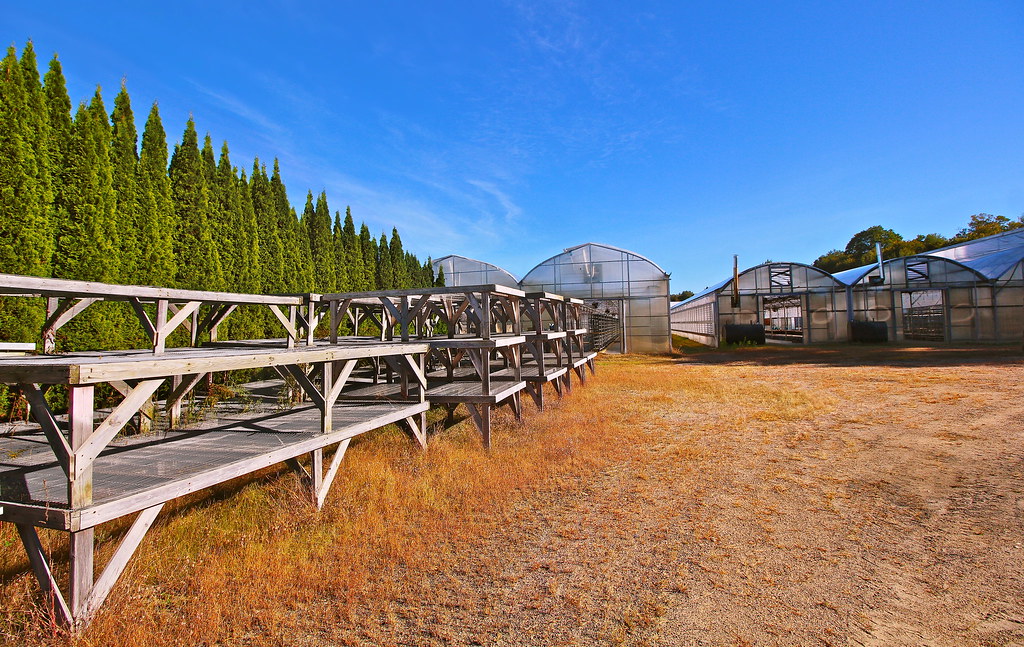 Behind the greenhouses at Five Acre Farm, Northfield MA II… Flickr