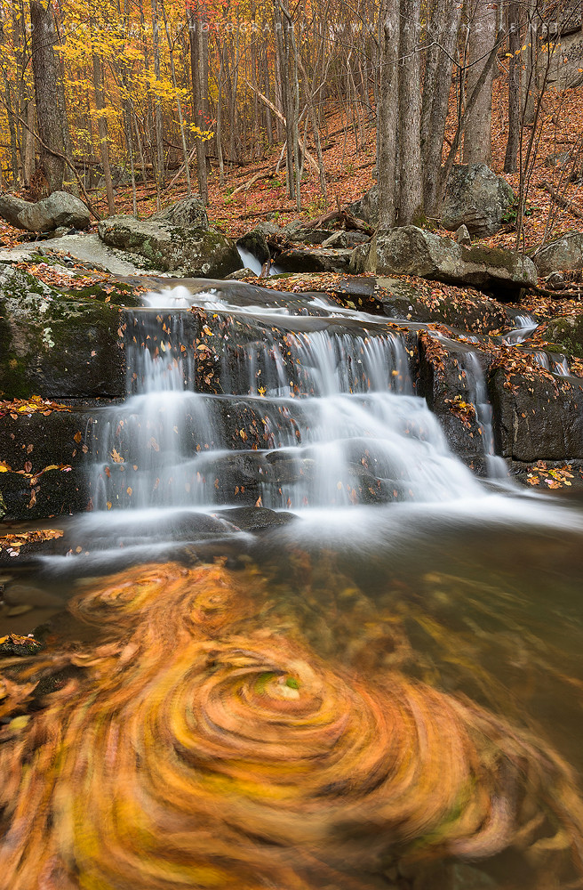 Swirl Shenandoah National Park Rose River Headwaters Aut… Flickr