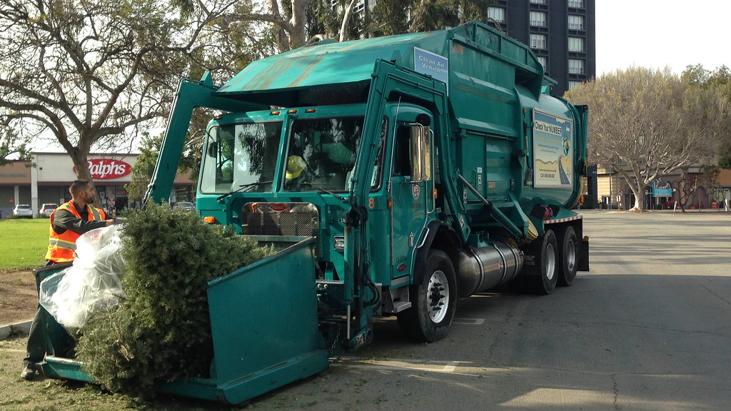 36098 Christmas Tree Collection Westchester Rec Center, … Flickr