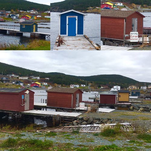  New Perlican NL alana r barnes Flickr