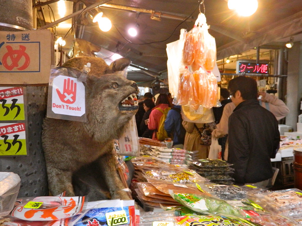 Shop Pet at the Fish Market (Tokyo, Japan) Taken at Tsukij… Flickr