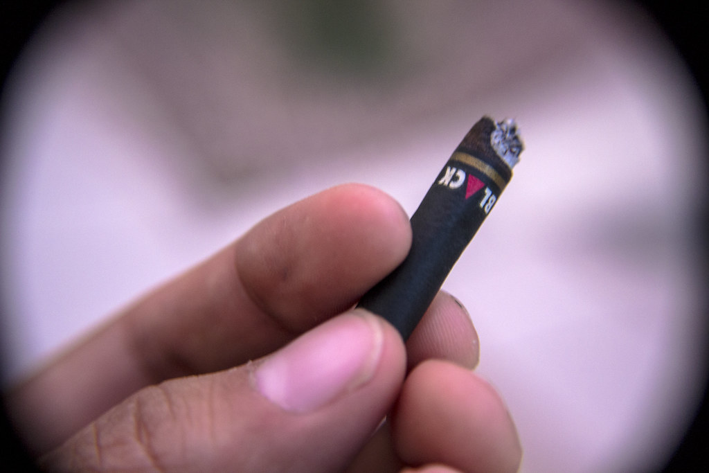 Black Daniel Aldaco Vásquez Flickr