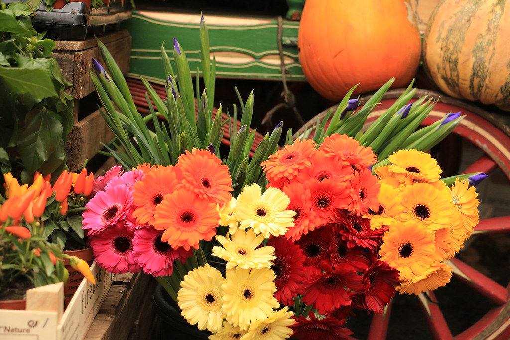 " Get your cut flowers here" The market trader selling fro… Flickr