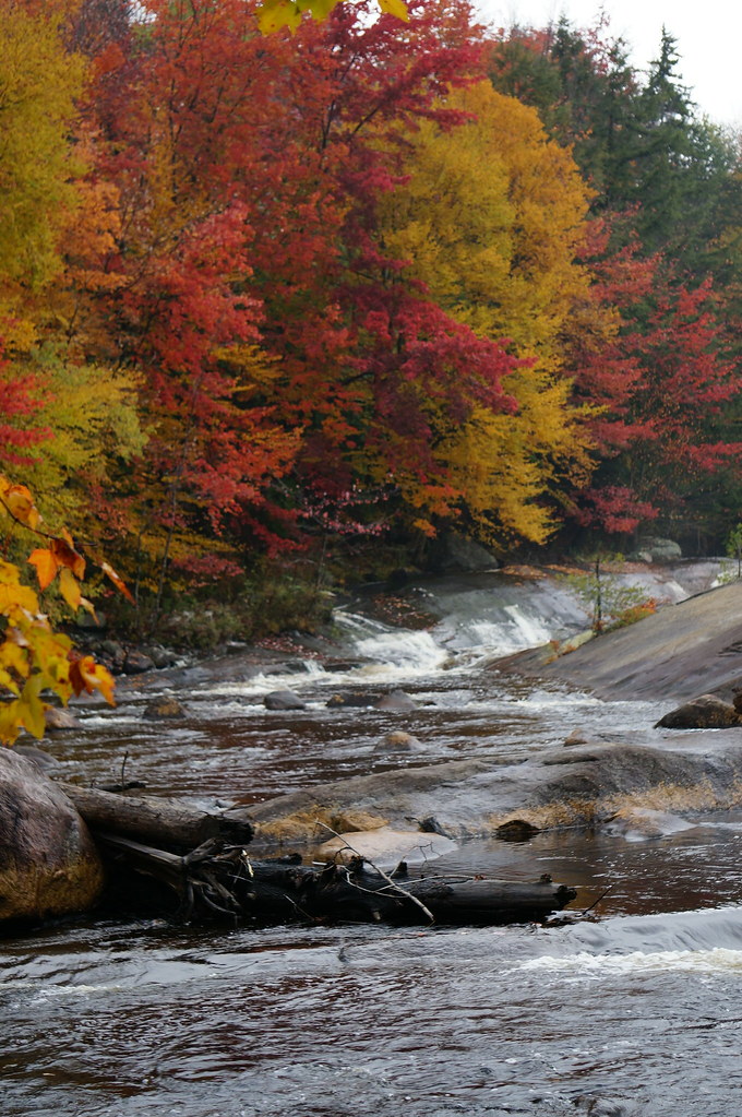 The Adirondacks The Little Woodhull, Forestport, NY. Mark Sheppard