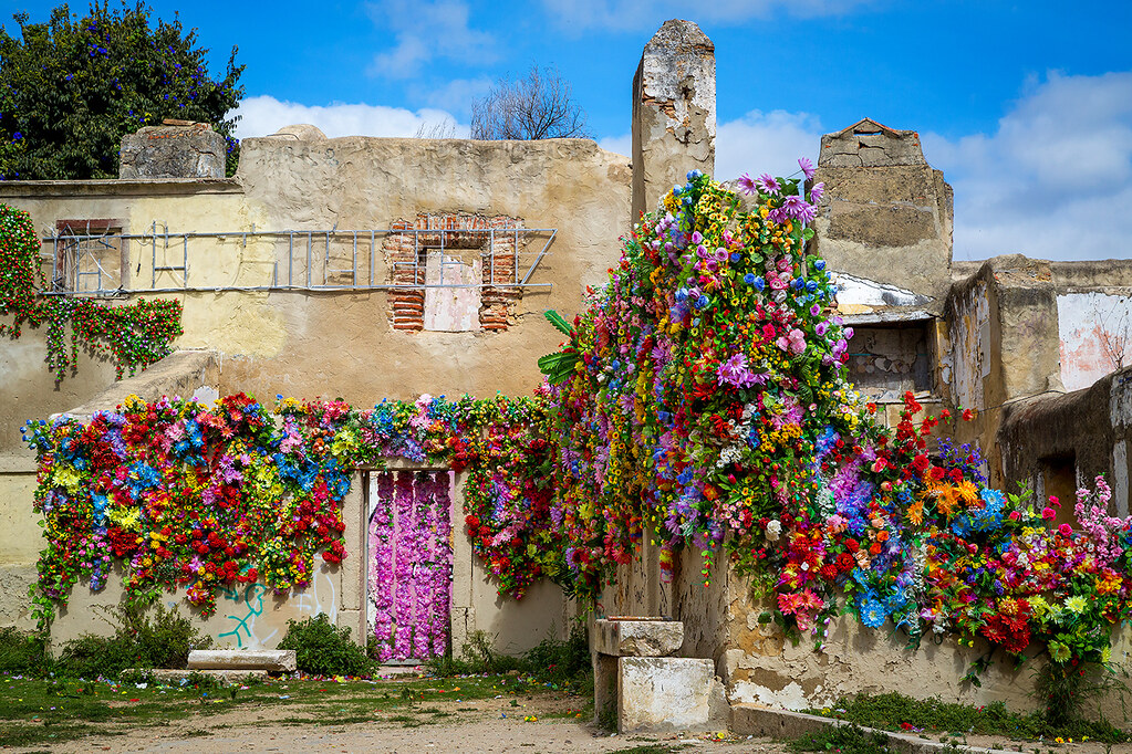 lisbon flower power Sabine Flickr