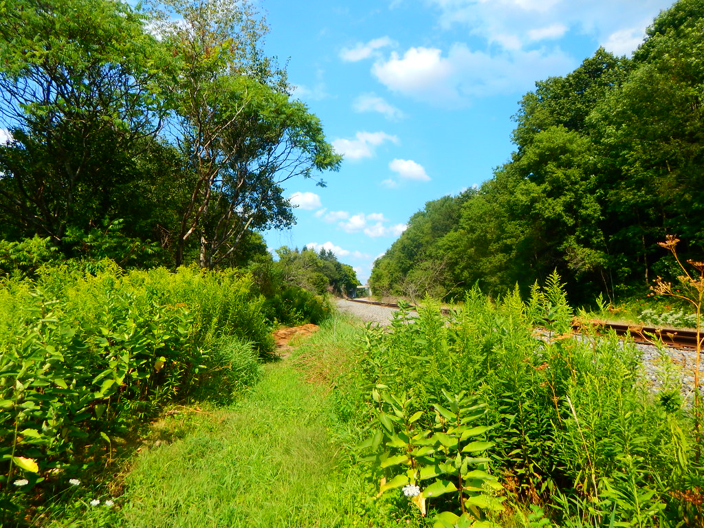 Hinsdale Station Hinsdale, New York Adam Moss Flickr