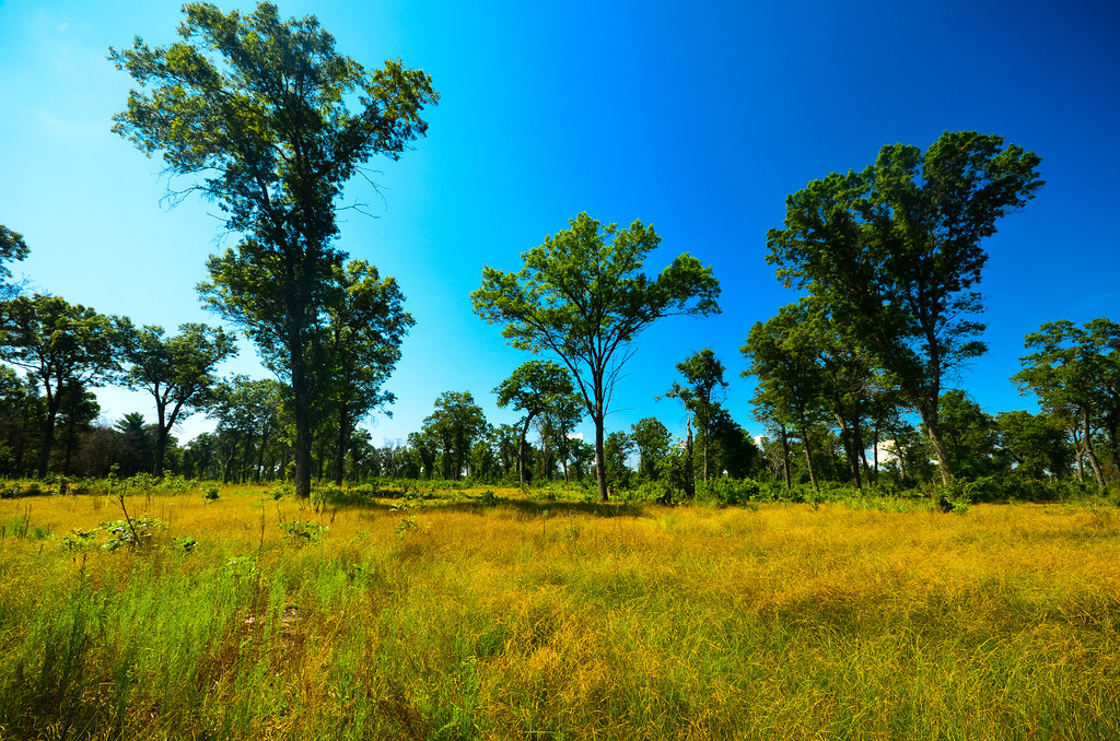 Barrens Meadow Valley Barrens Wisconsin State Natural Area… Flickr