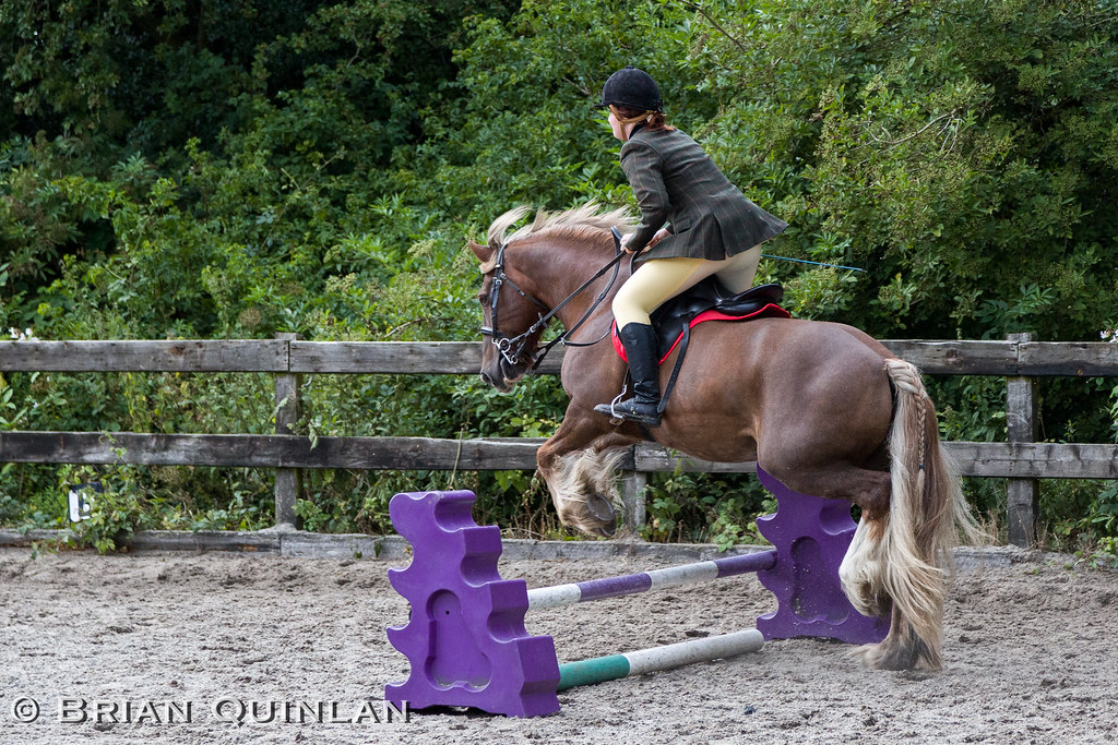 20150816BQ__0937.jpg Atherton Old Hall Farm Charity Fun S… Flickr