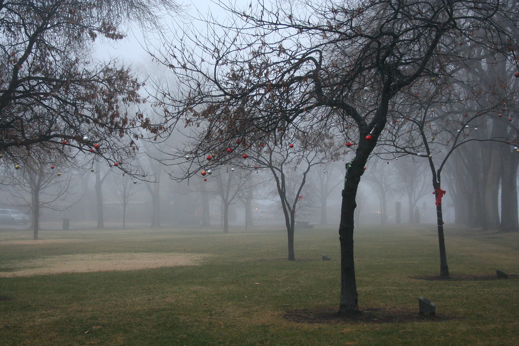 IMG_4266 Altura Park, Albuquerque NM samotub Flickr