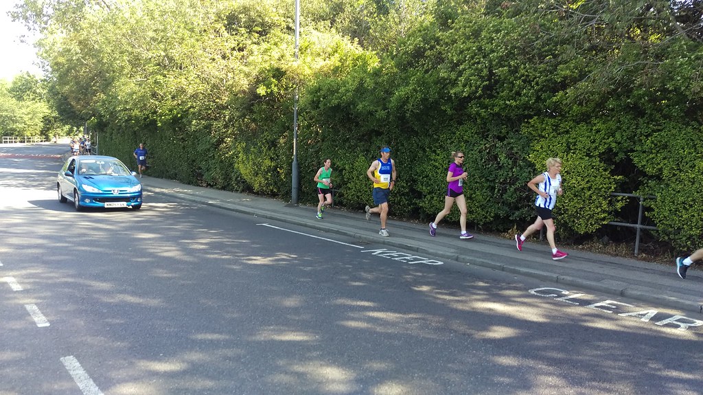 IMAG2390 Billingham Marsh House Harriers Flickr