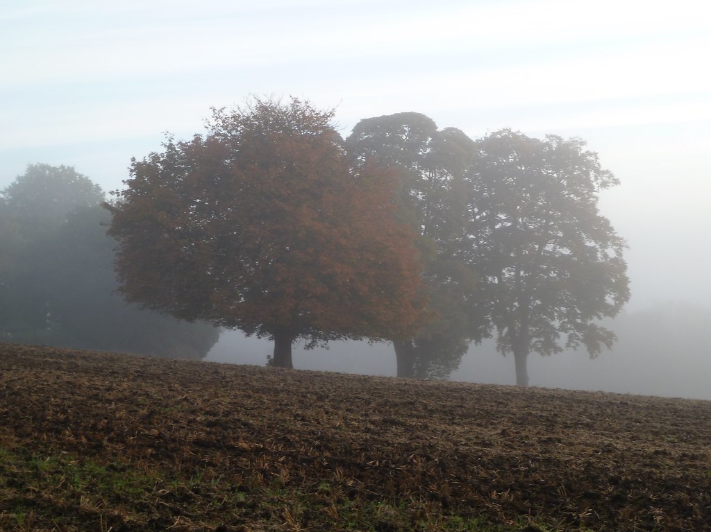 P1040172 Church Hill, Kirkby in Ashfield. A wonderful mist… Flickr