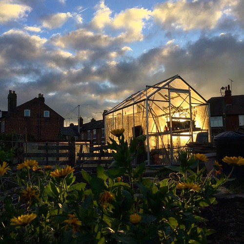 Sunset greenhouse Mike Ashton Flickr
