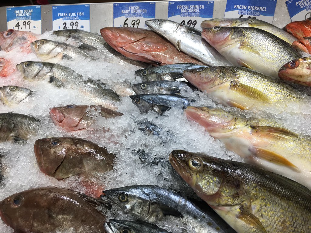 Fish counter at T&T grocery store Ross Dunn Flickr
