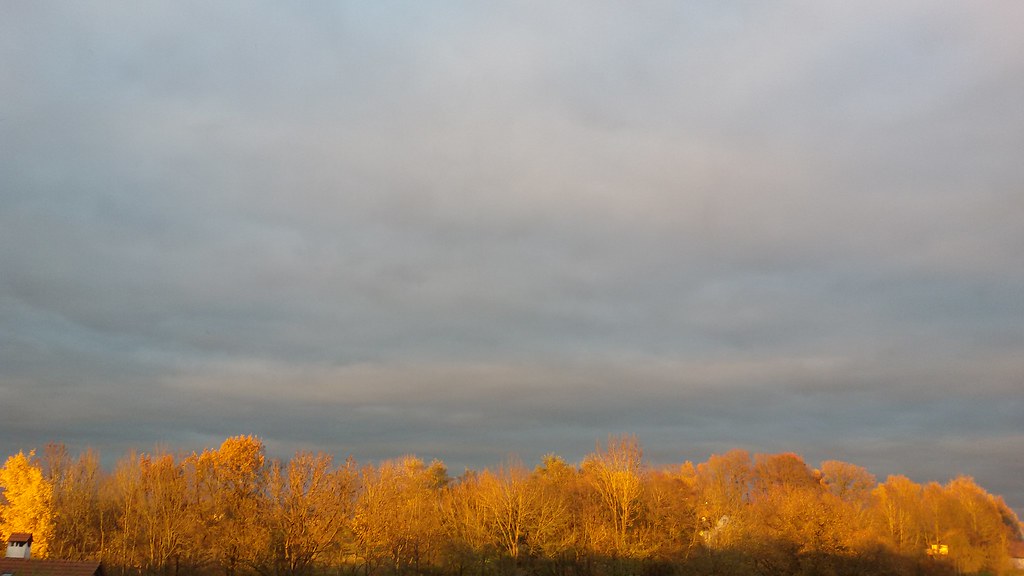 Yellow Woods... 10.11.2015 Lucy Zillinger Flickr