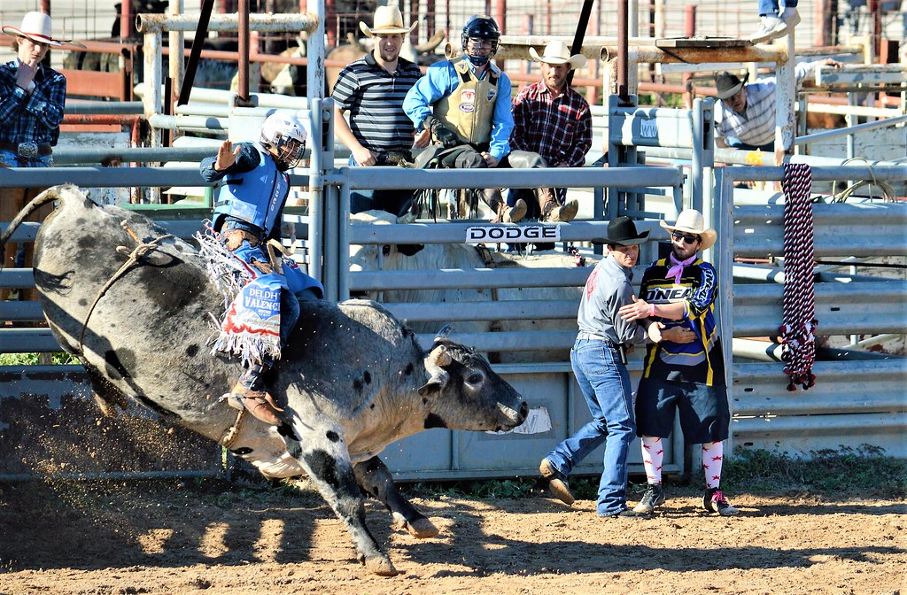Bandera Rodeo in Bandera, Texas Diann Bayes Flickr