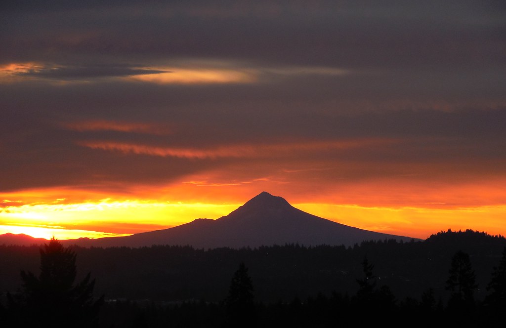 autumnal light Steve Rawley Flickr
