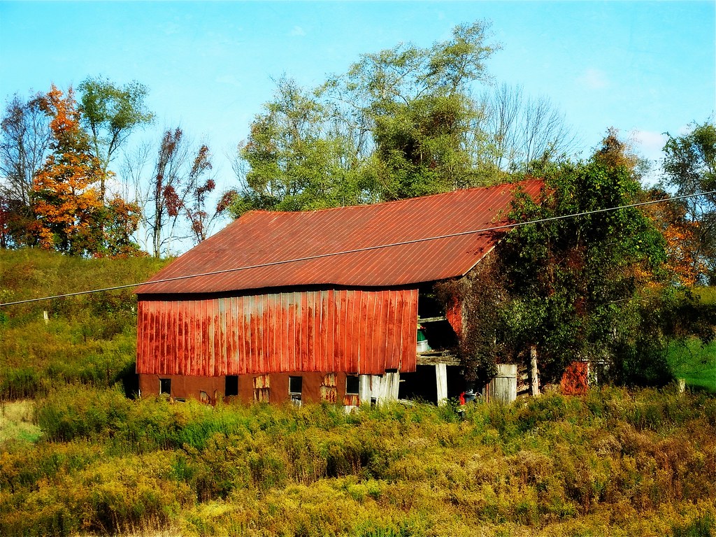 Fisher Hollow Lone Pine, Pennsylvania e r j k . a m e r j k a Flickr