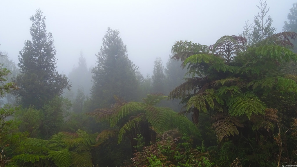 Foret de Notre Dame de la Paix VillageHero Flickr