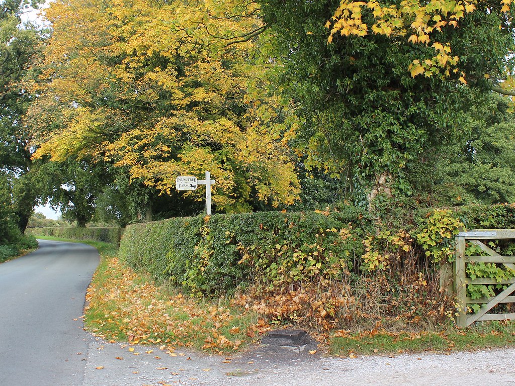Plum Tree Farm Only in England. A few pic's for all homes… Flickr