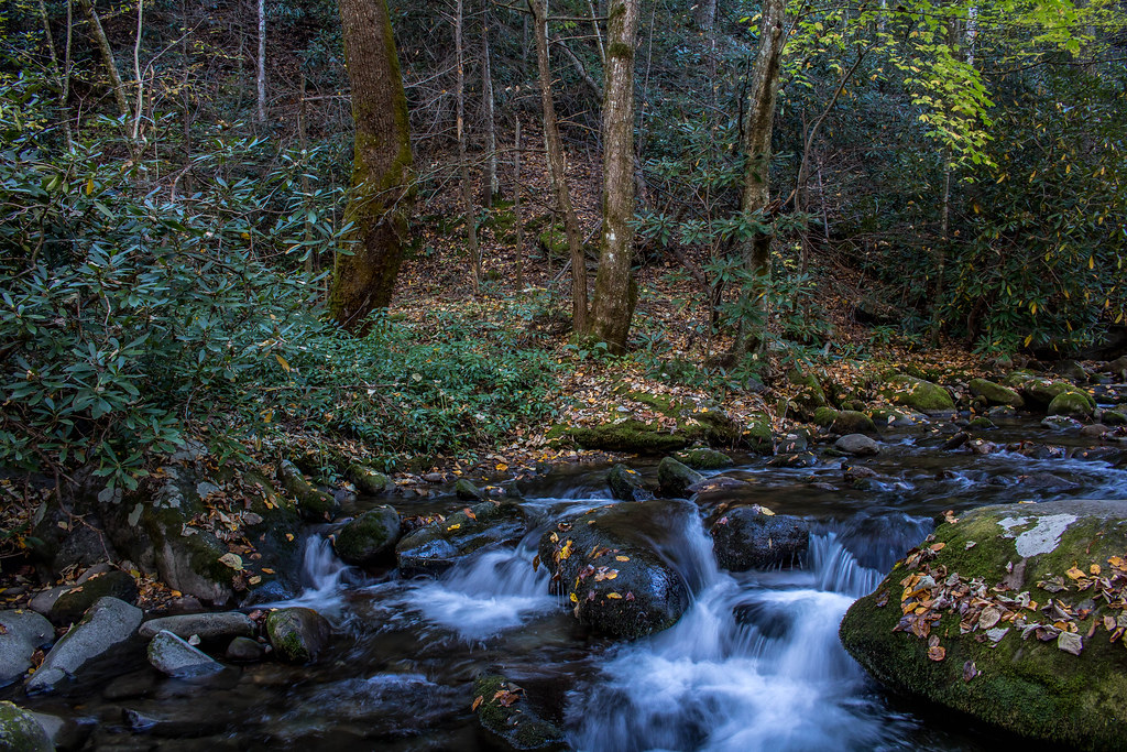 Roaring Fork River near Jim Bales Homestead steve Bailie Flickr
