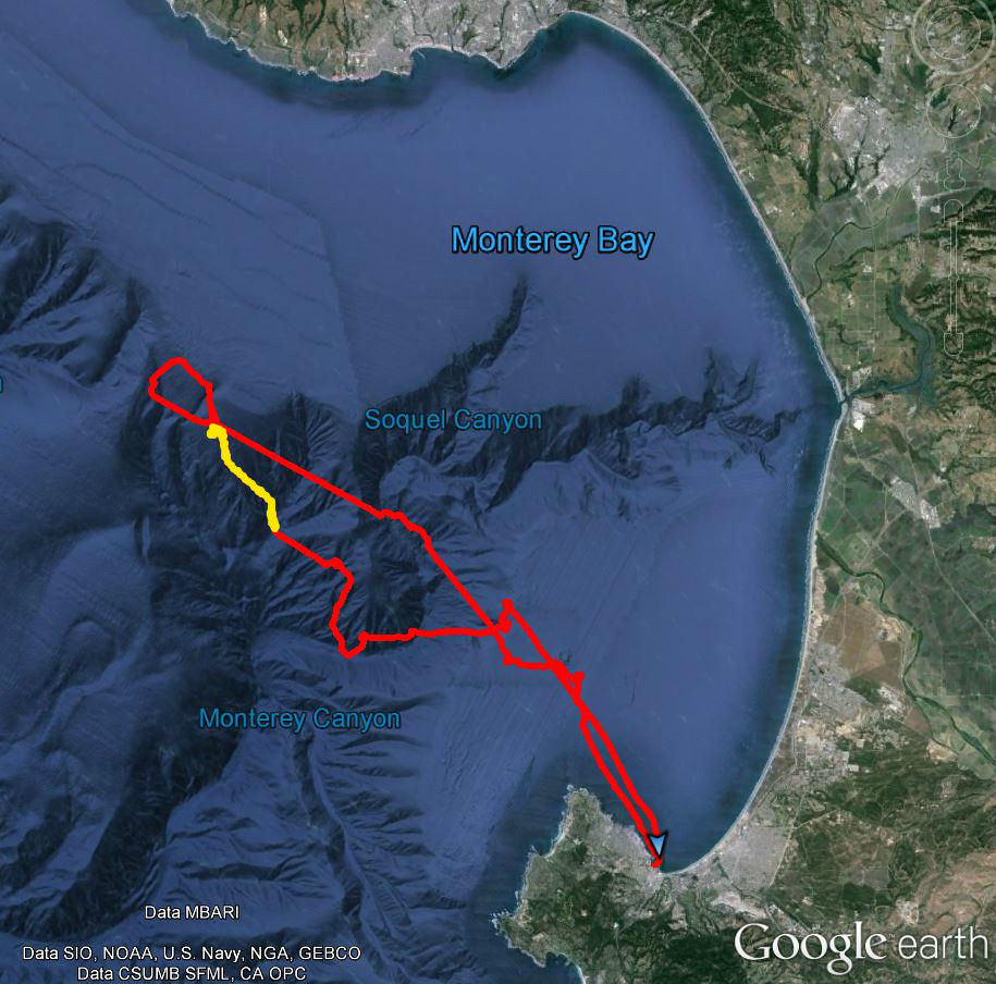 Shearwater Journeys Mty Bay Pelagic 27 Sep 2015 SCZ Leg 2 Flickr
