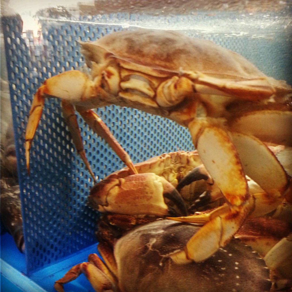 Crabs FullHouseSeafood Flushing Queens WorldsFair Flickr