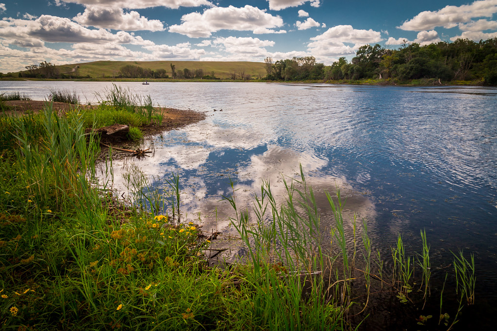 Return to the Wild Mallard Lake Forest Preserve, DuPage Co… Flickr