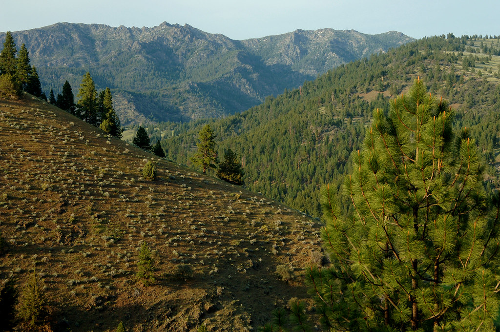 John Day Highway ViewsMalheur View of Hills along Oregon … Flickr