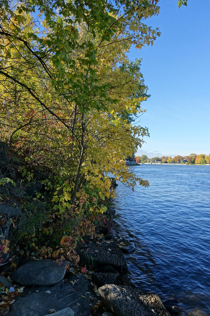 Rivière des Prairies Parc des Bateliers Montréal Flickr