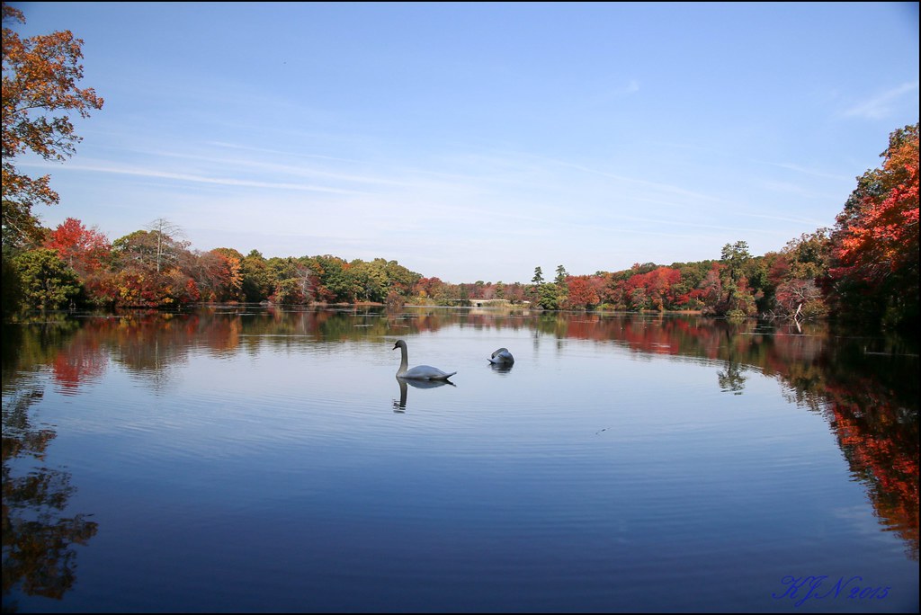 IMG_78082 Westbrook Lake Keithjv Flickr