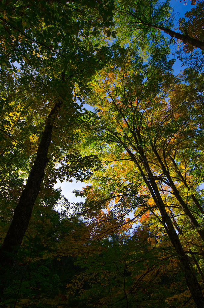 Moss Glen Falls Stowe, VT Tiny House Brewing & Farmstead Flickr