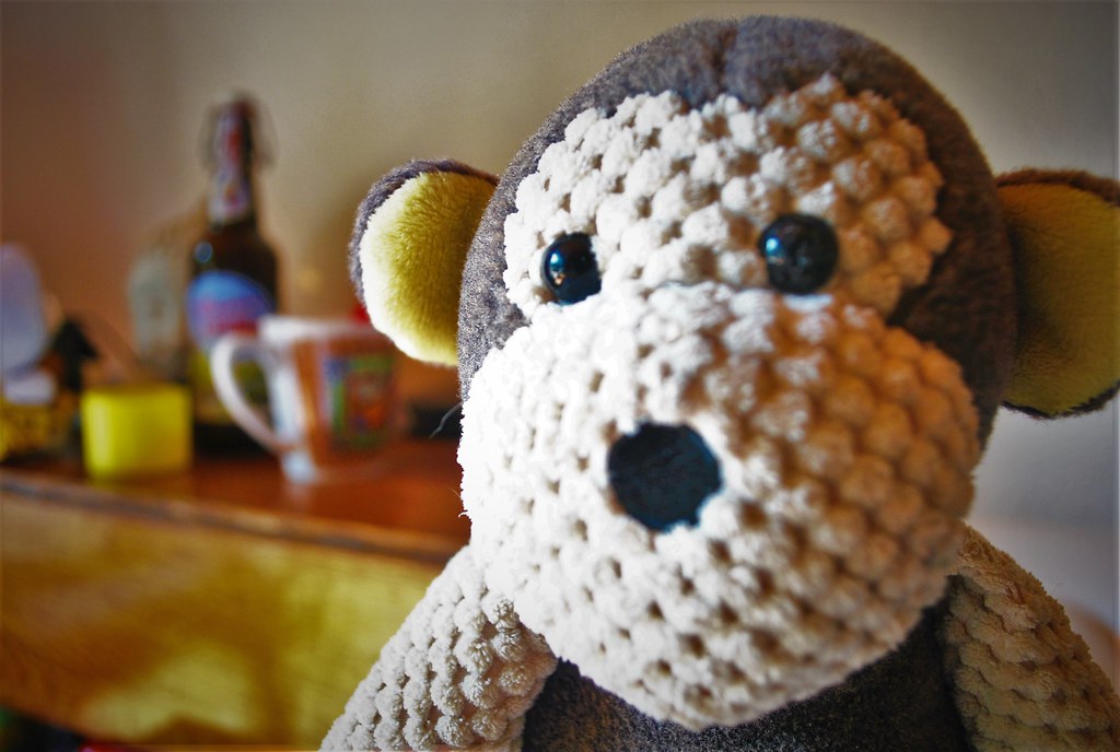 The Monkey On The Couch Dillon Arruda Flickr