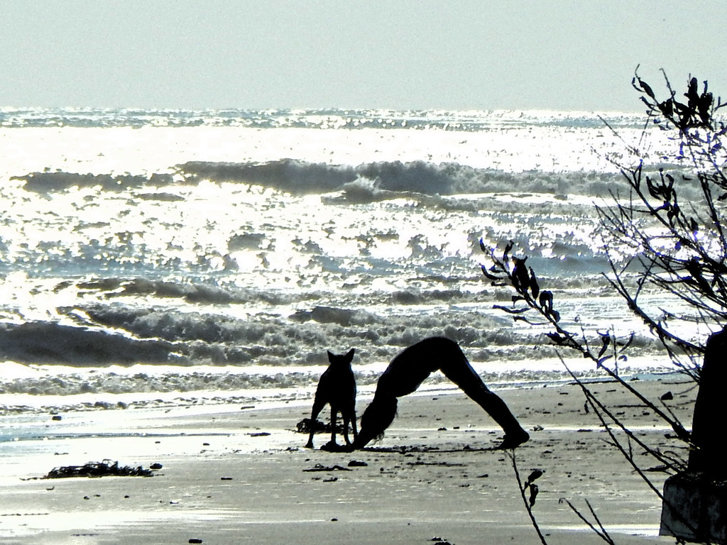 Downward Dog with Dog at Bolinas Lagoon kredit535 Flickr