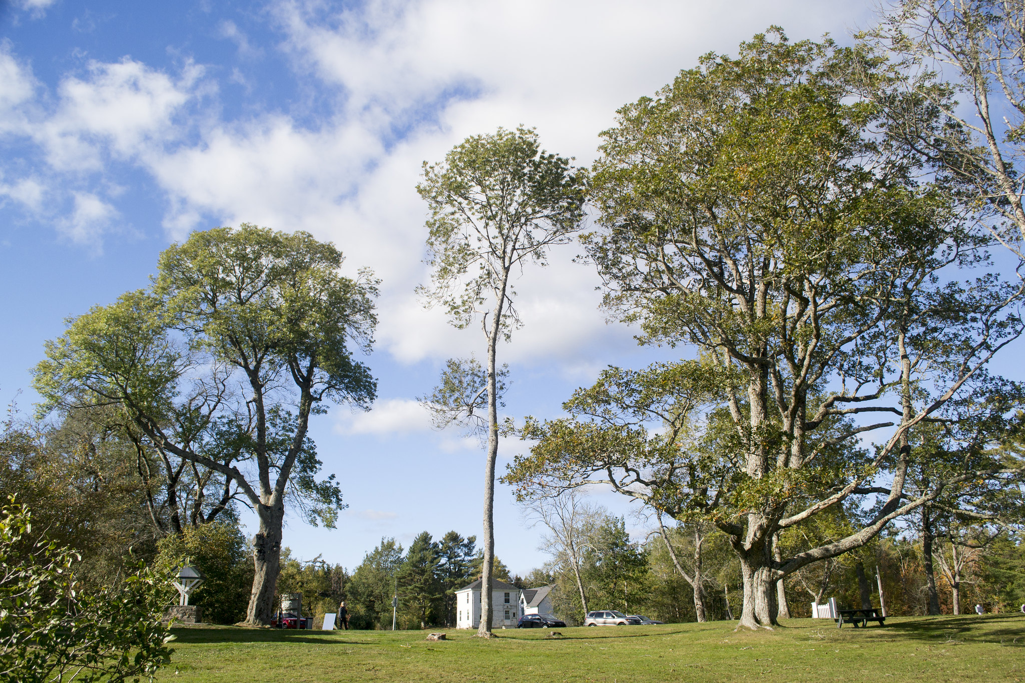 Photos Uniacke Estate Museum Park in Mount Uniacke, Nova Scotia