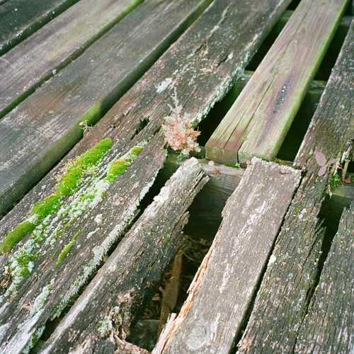 Too Far From The Spring In the shade of the Winfall, VA ra… Flickr