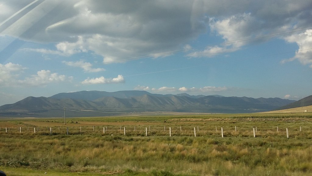 Carretera Matehuala Saltillo Nuevo León, México Rojer Arellano