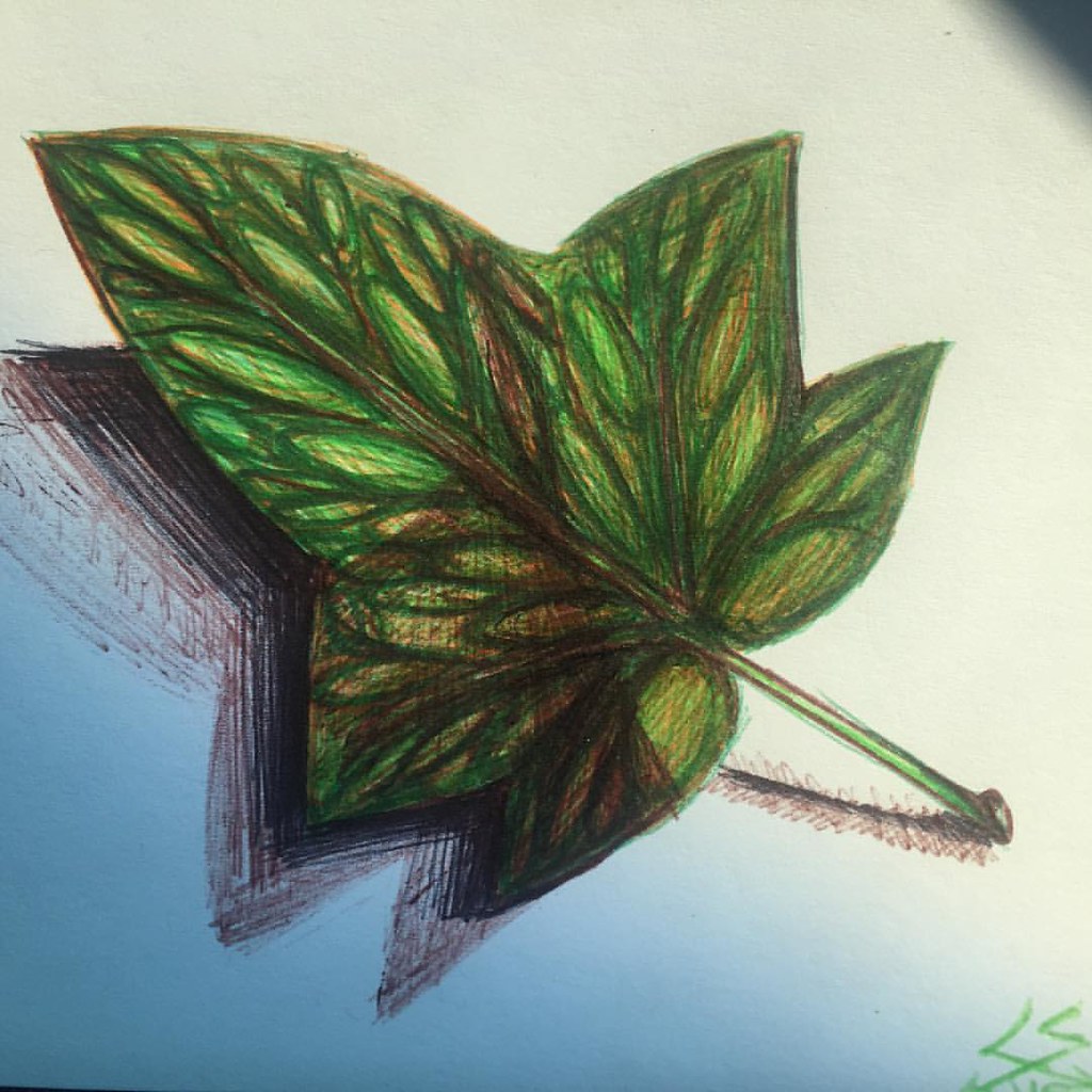 artgallery art_collective art_spotlight art_discover_ … Flickr