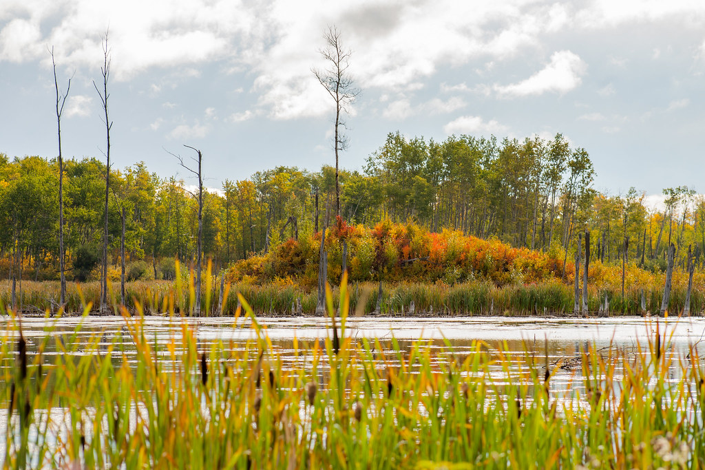 Cooking LakeBlackfoot Provincial Recreation Area Cooking … Flickr