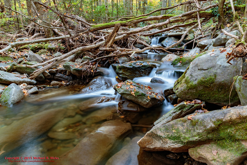 Cosby Campground Nature Trail Cosby Creek GSMNP Mount Ca… Flickr