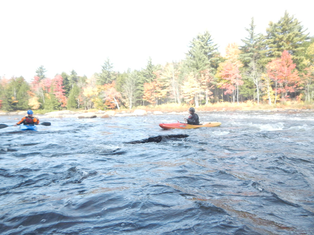 Moose River NY 2016 Flickr